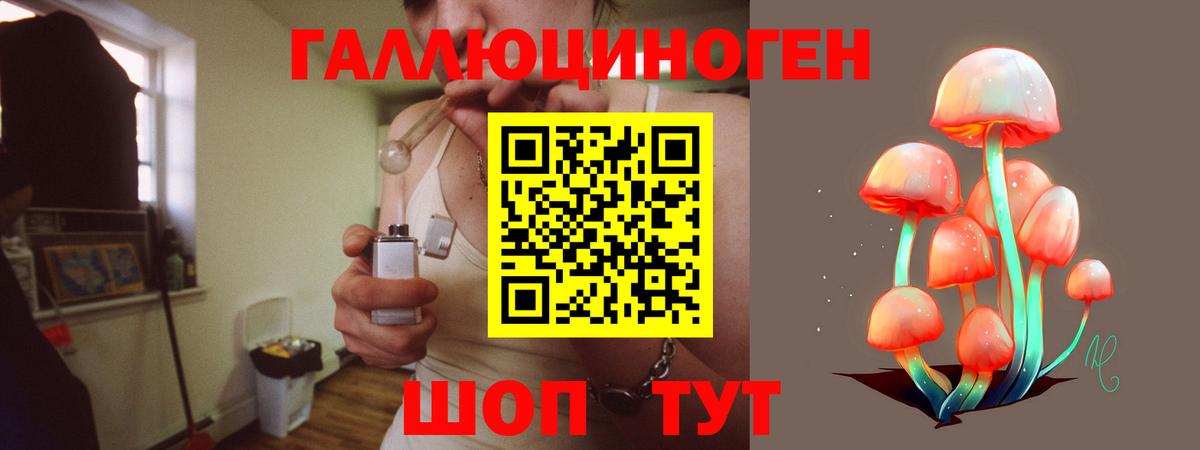 Верхняя Салда  Галлюциногенные грибы Psilocybe  Вход с VPN  Псилоцибиновые грибы прущие грибы 